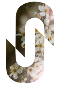 Logo_los_zwart_wit_spring_2